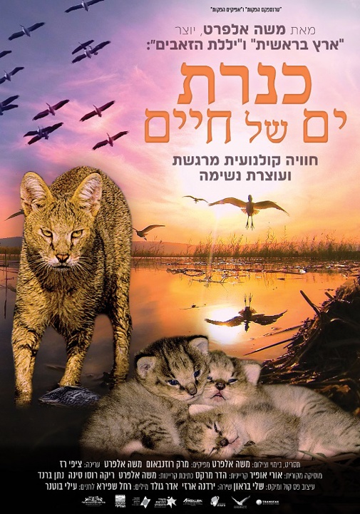 פוסטר